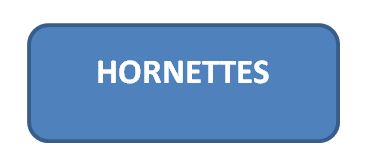 HORNETTES